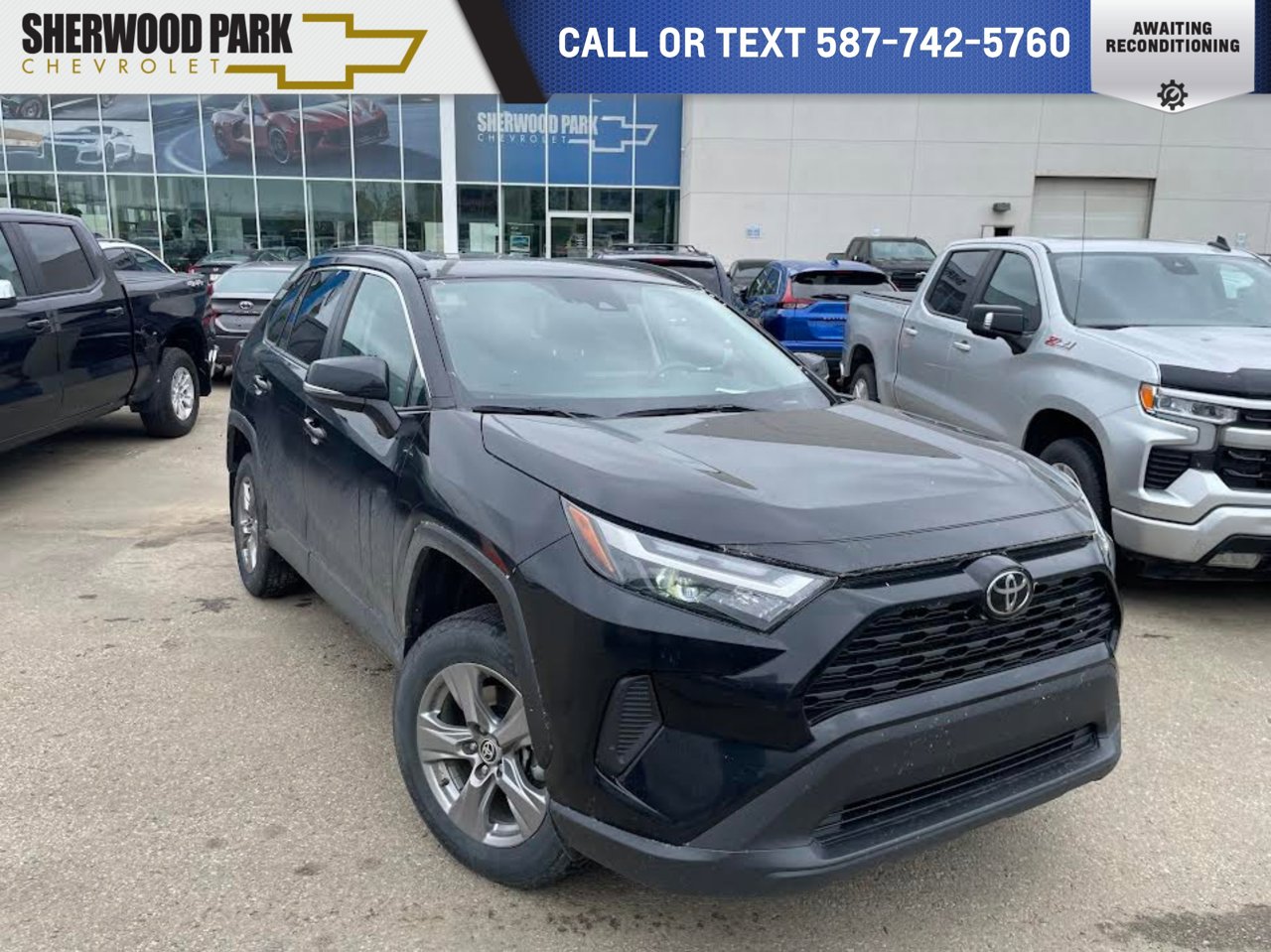 2024 Toyota RAV4