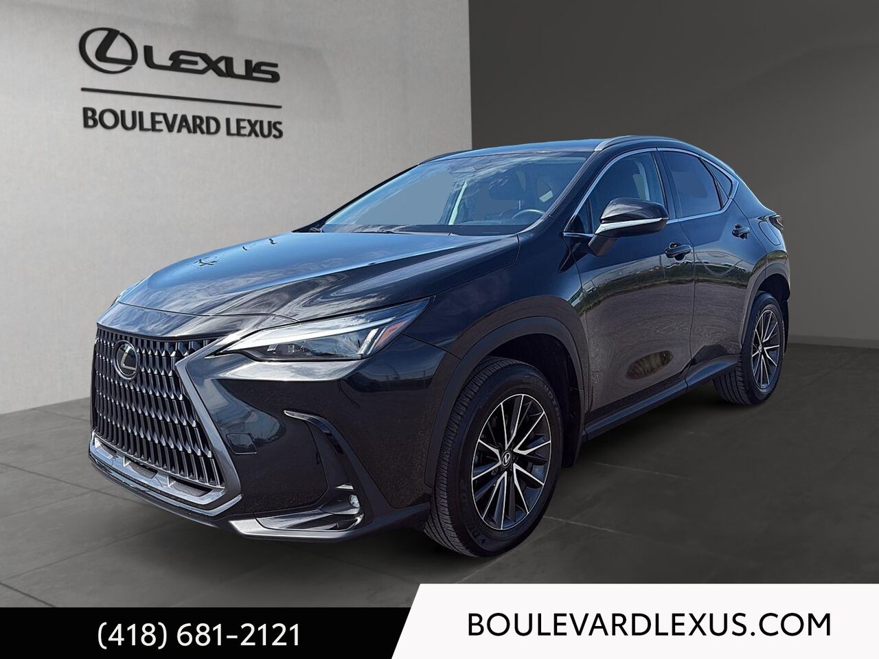 Black 2024 Lexus NX 250 AWD SUV / Crossover All-Wheel Drive Automatic