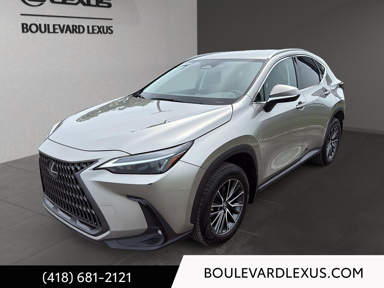 Silver 2023 Lexus NX 250 AWD SUV / Crossover All-Wheel Drive Automatic