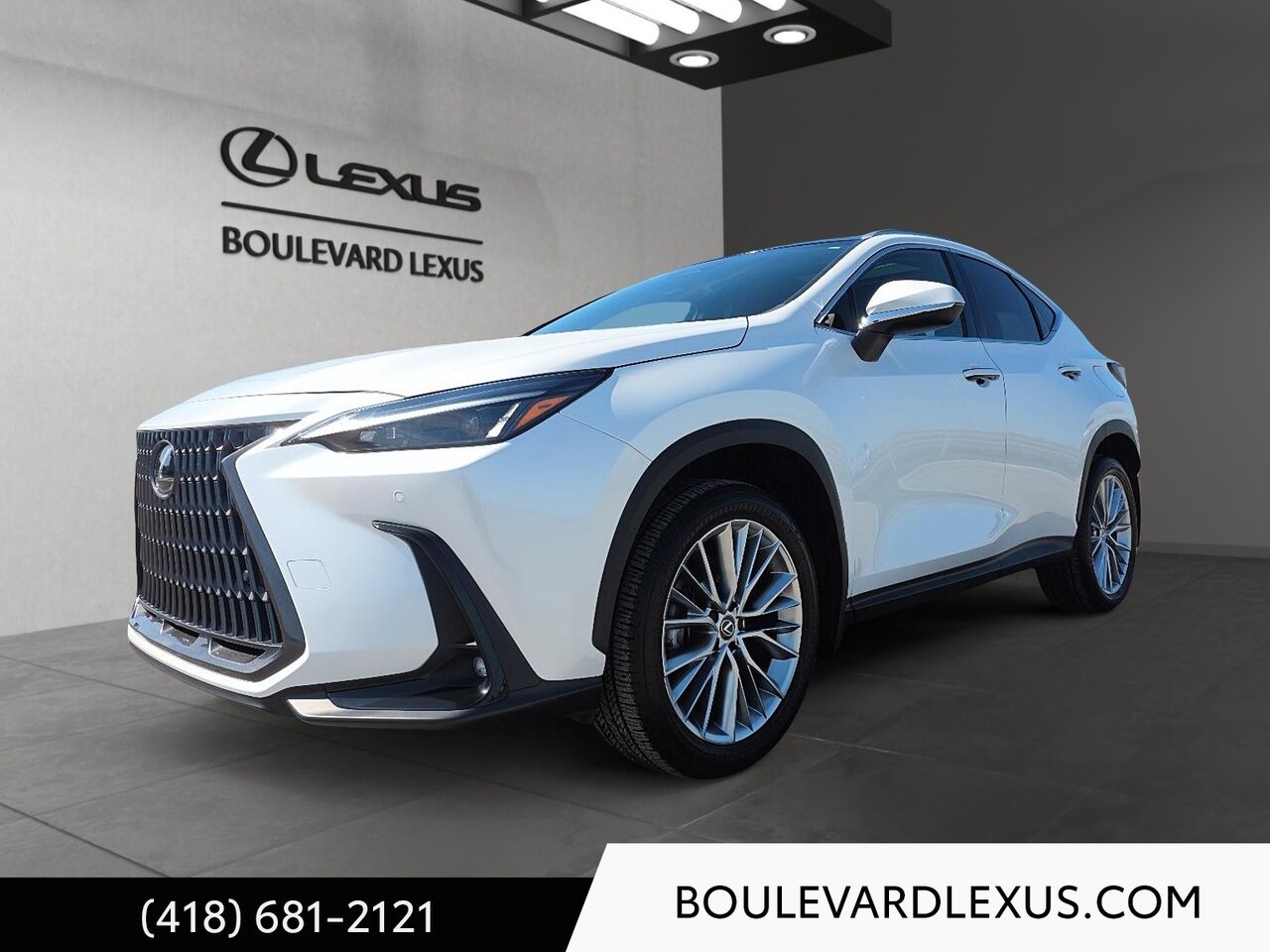 White 2024 Lexus NX Hybrid SUV / Crossover Continuously Variable Transmission