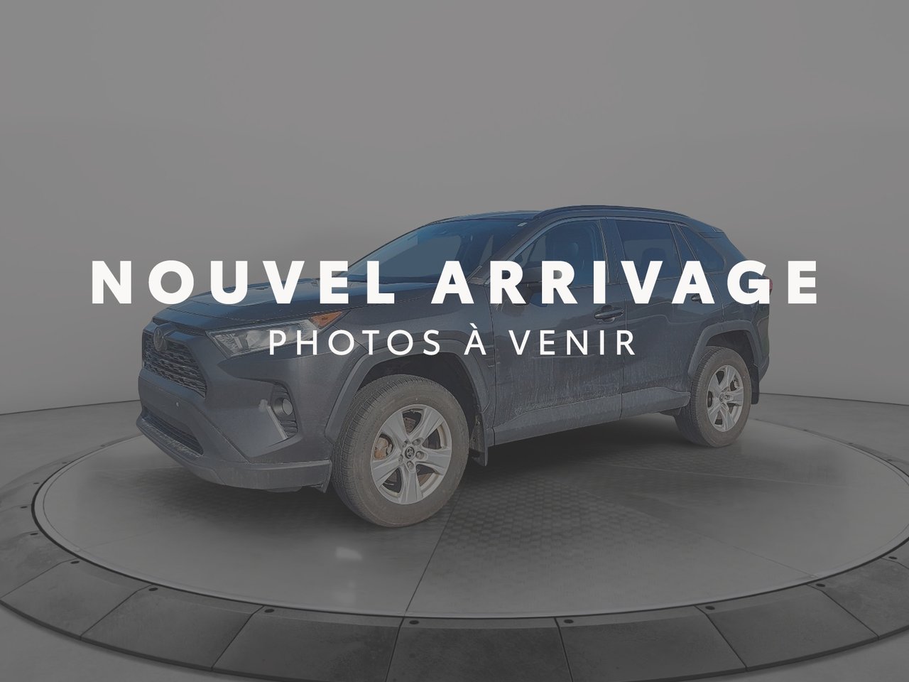 Toyota RAV4 XLE 2019 Gris Baie-Comeau - photo #0