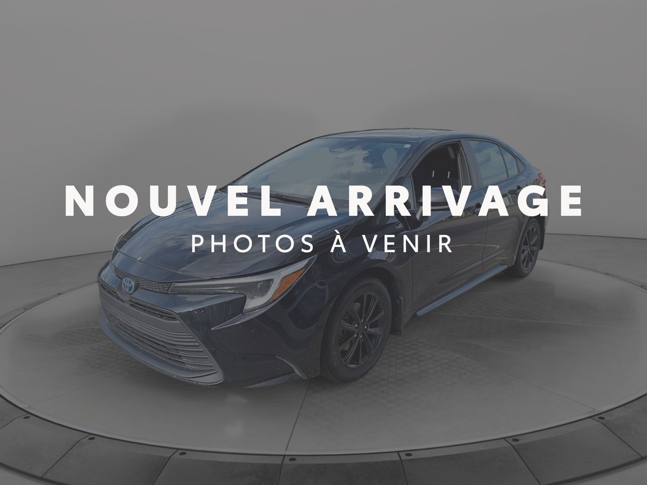 2023 Toyota Corolla Hybrid LE Black Baie-Comeau - photo #0