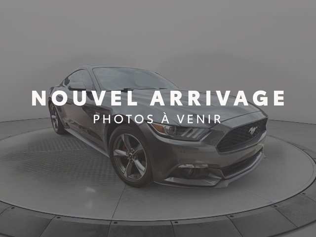 2017 Ford Mustang VIN 1FA6P8AM0H5215971 Grey Baie-Comeau - photo #0