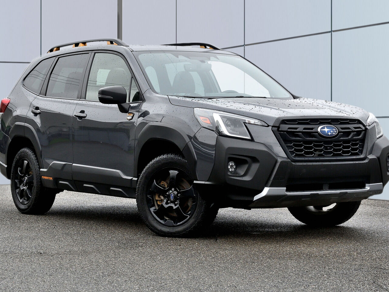 2023 Subaru Forester Wilderness Wagon AWD