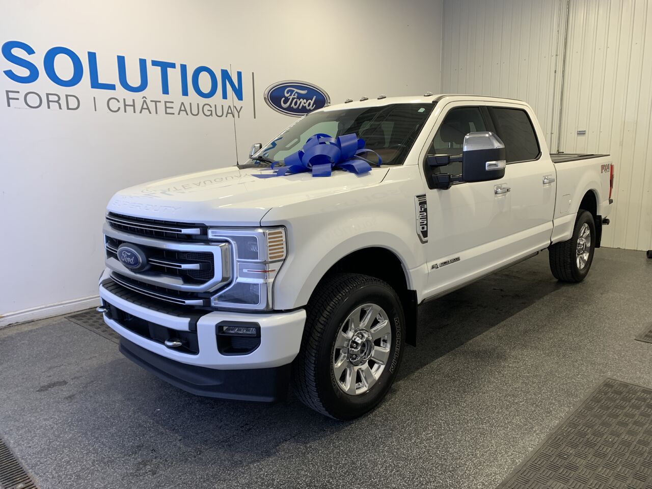 Ford F-250 Super Duty Platinum Crew Cab 4WD 2021