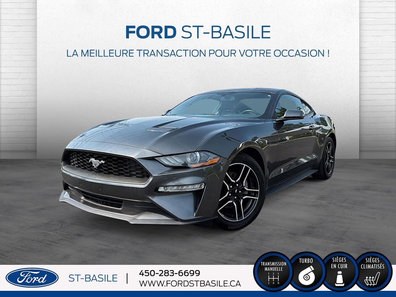 Gray 2019 Ford Mustang Coupe Rear-Wheel Drive Manual
