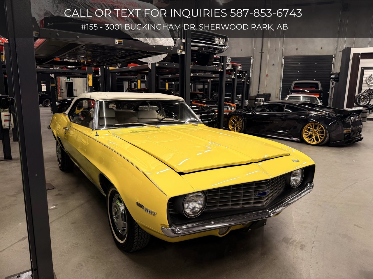 Chevrolet camaro 1969