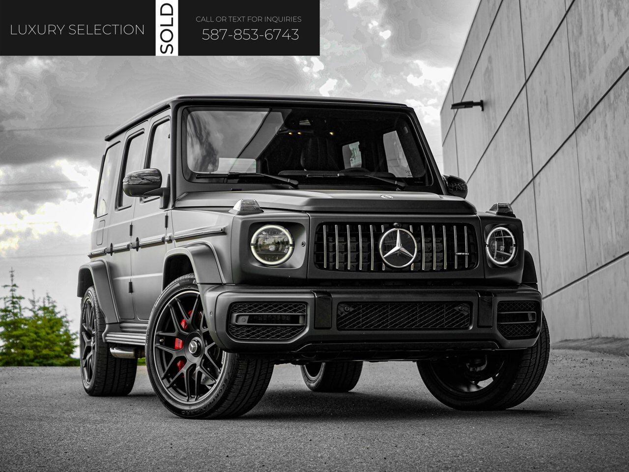 Mercedes benz g class 2019